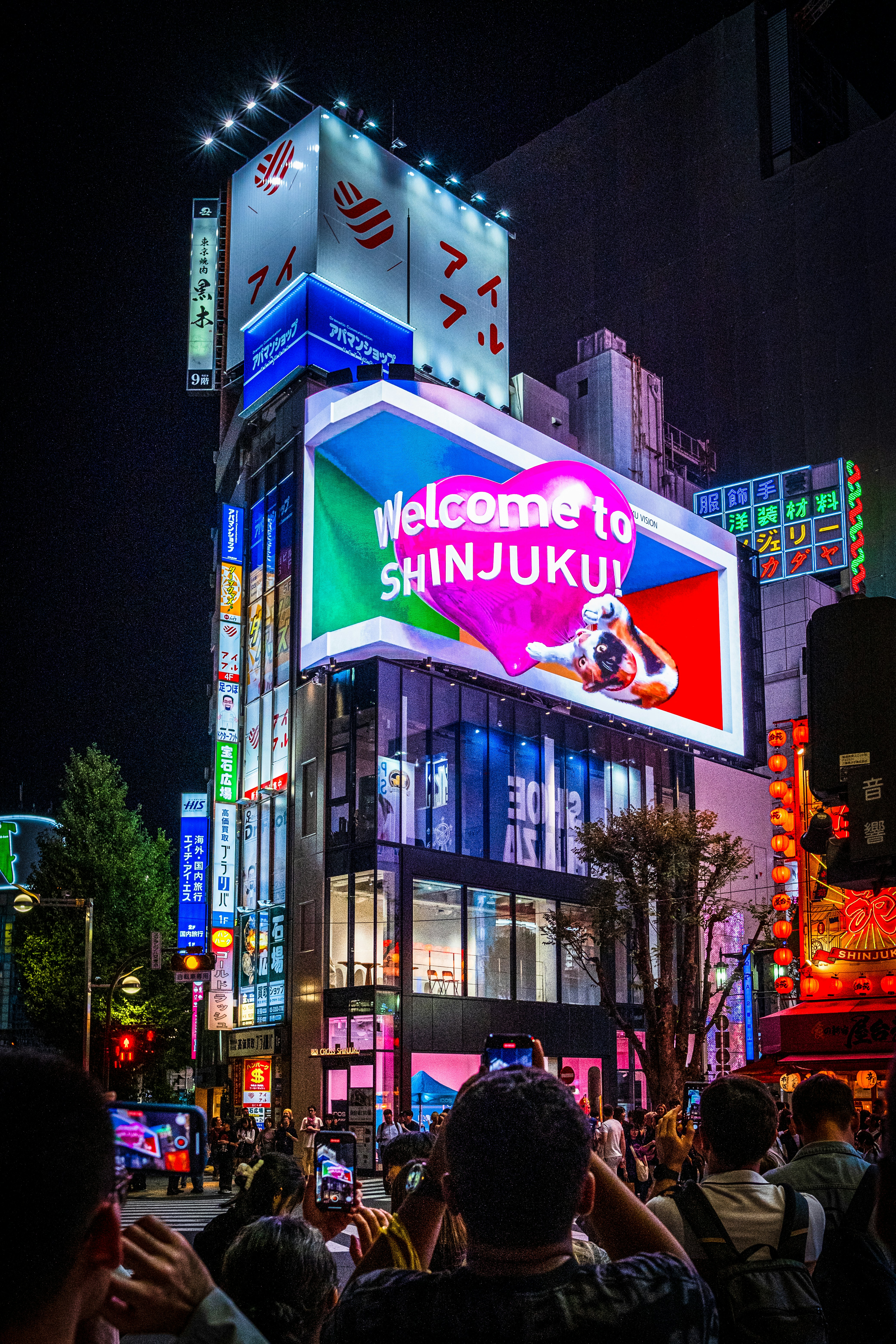 City Night Lights